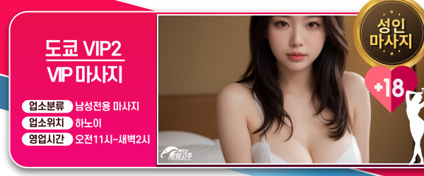 하노이 도쿄 VIP2 주의사항