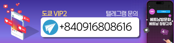 하노이 도쿄 VIP2 후기 모음