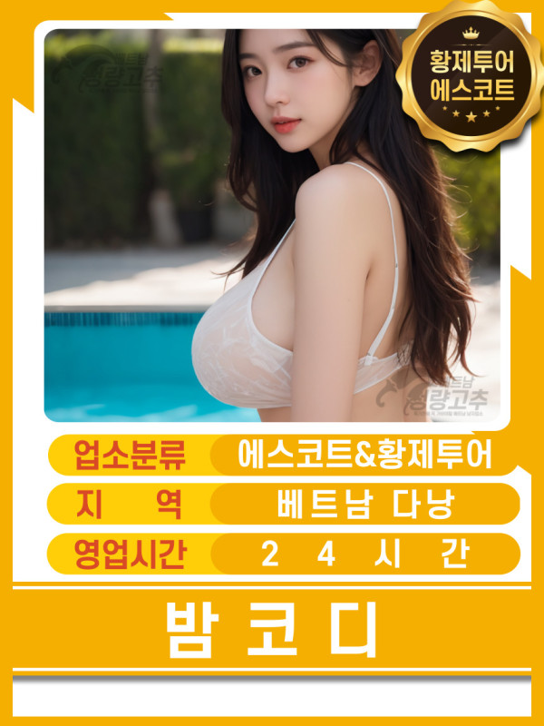 다낭 밤코디 황제투어 에스코트 구글위치