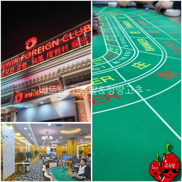 하노이 박닌 피닉스 카지노 지점 안내