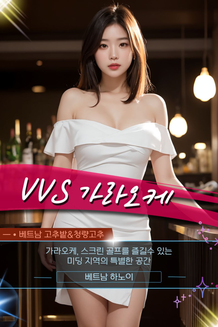 하노이 VVS 가라오케 주의사항